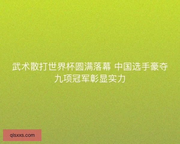 武术散打世界杯圆满落幕 中国选手豪夺九项冠军彰显实力